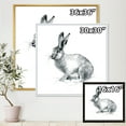 thumbnail image 4 of Black and White Portrait Of Rabbit 16 in x 16 in Framed Painting Canvas Art Print, by Designart, 4 of 5
