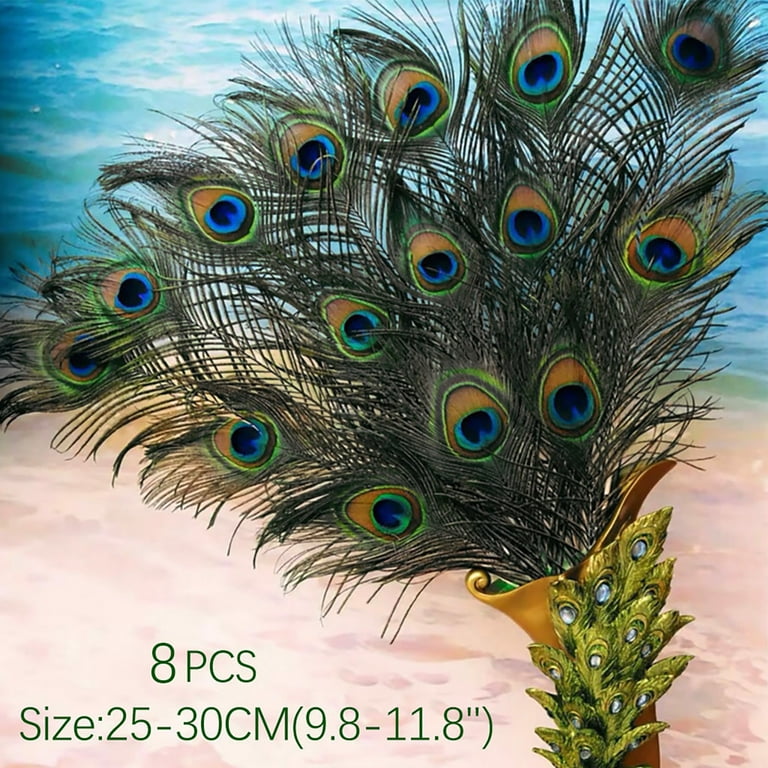 50 Pieces 10-12 Natural Peacock Tail Feathers
