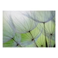 thumbnail image 4 of Tiptophomedecor Botanical Wallpaper Wall Mural - Dandelions, 4 of 6