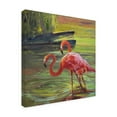 thumbnail image 2 of Trademark Fine Art 'Flamingo III' Canvas Art by Chuck Larivey, 2 of 4