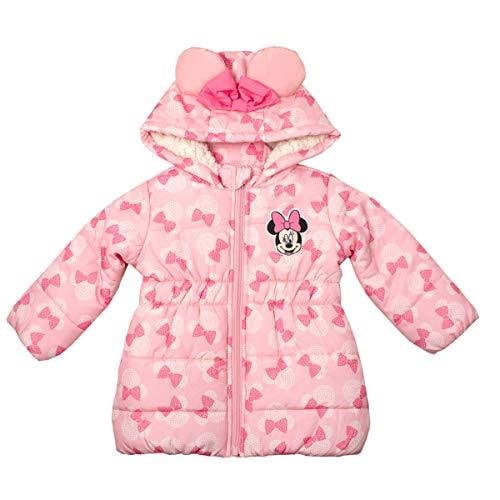 minnie mouse jacket 3t
