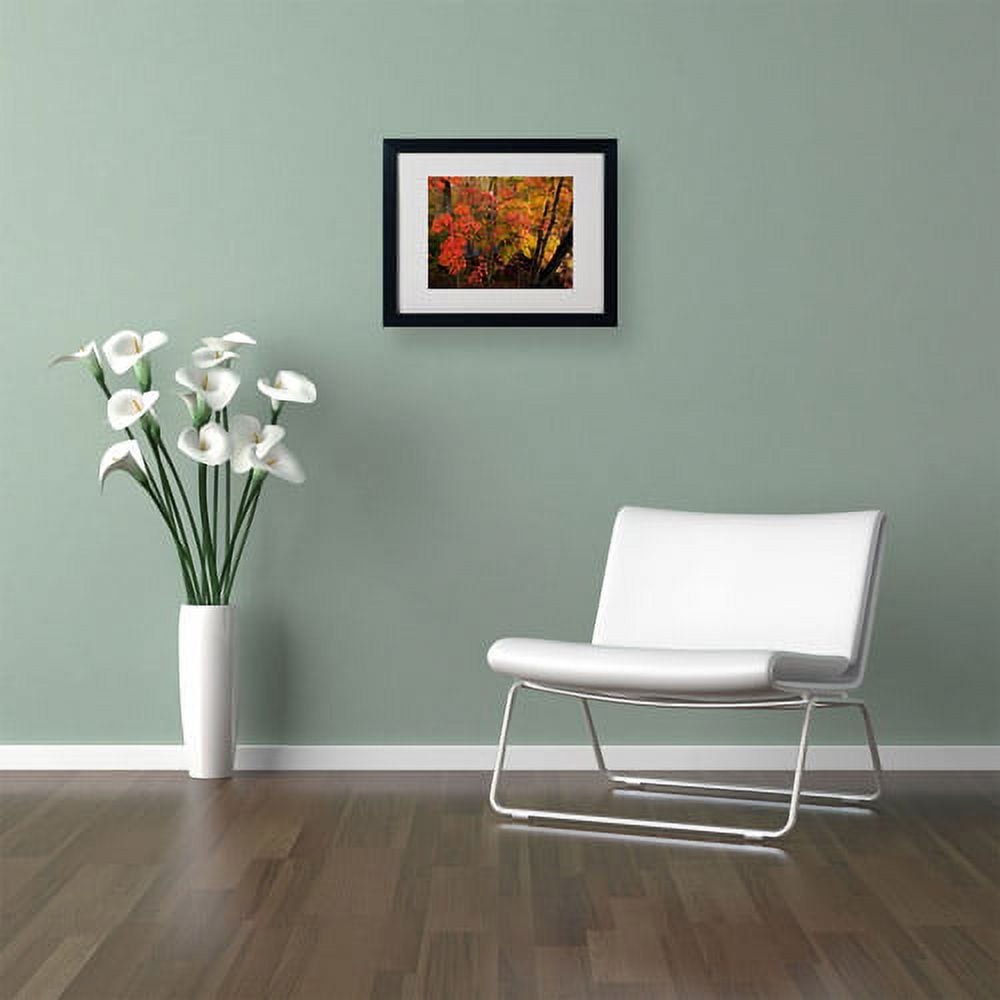Trademark Fine Art "Brilliant Autumn Forest" Canvas Art by Kurt Shaffer, Black Frame