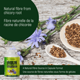 thumbnail image 2 of Inulin Fiber Capsules - 300 Veggie Capsules, 2 of 8