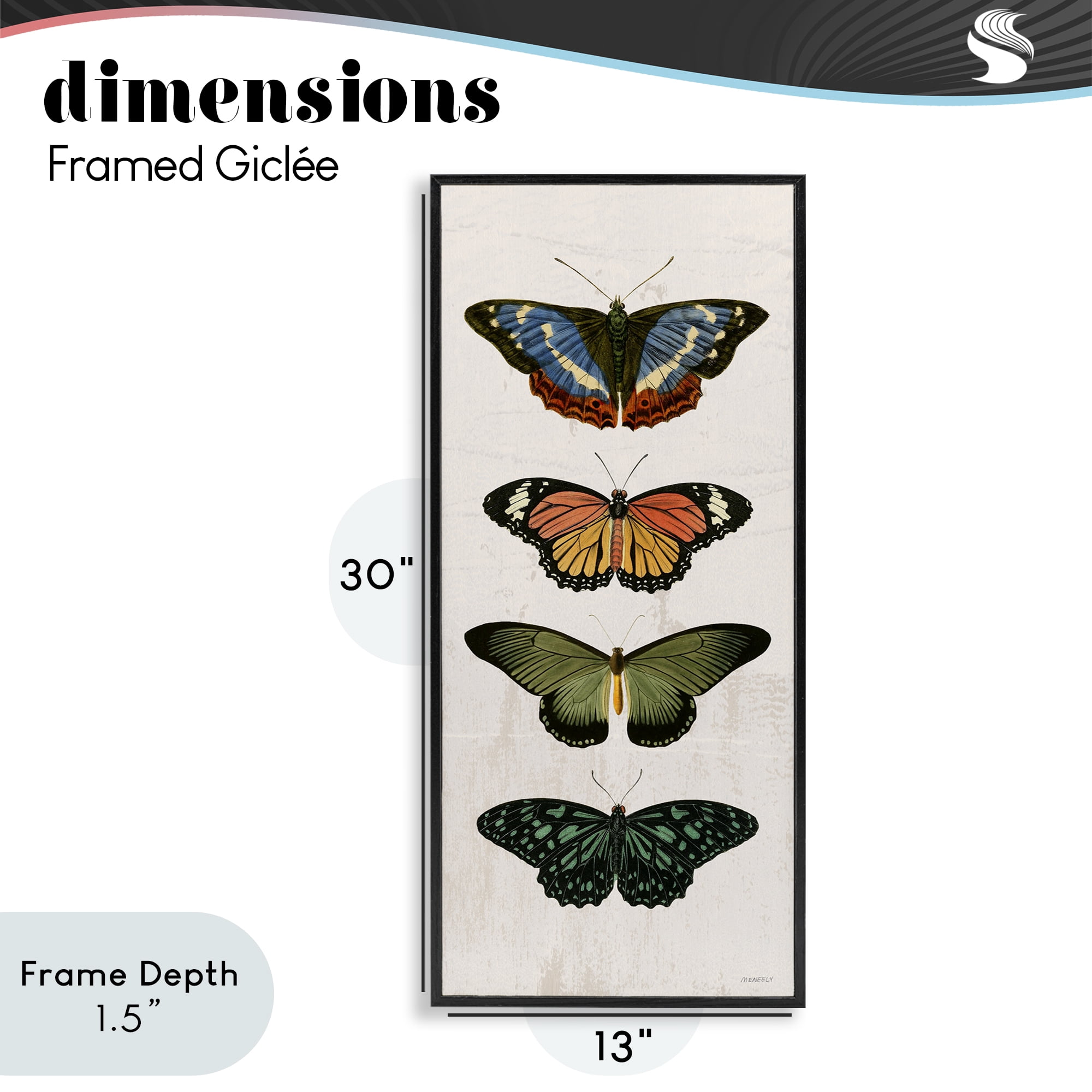 Stupell Industries Butterfly Lineup Vintage Black Framed Giclee Art, design by Dan Meneely