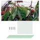 thumbnail image 4 of Red de Protección Contra Pájaros Contra Pájaros, Frutas, Protección Reutilizable con 50 Bridas para Cables, Red de Protección Resistente para Verde Sunnimix Red anti-pájaros, 4 of 8