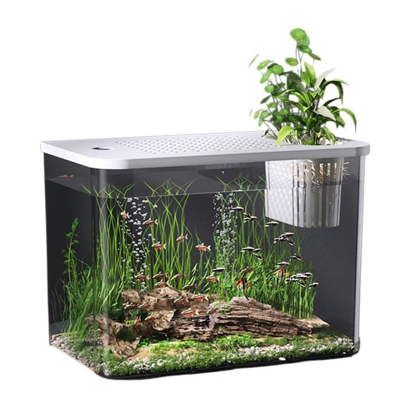 LAIQIEN Ecological Fishtanks With Safety Cover Transparent View Plant Holder Fish Bowl