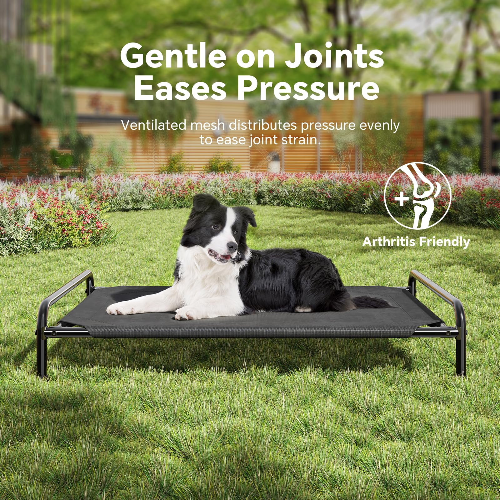 Breathable Elevated Dog Bed With Metal Frame For Large Dogs  Black