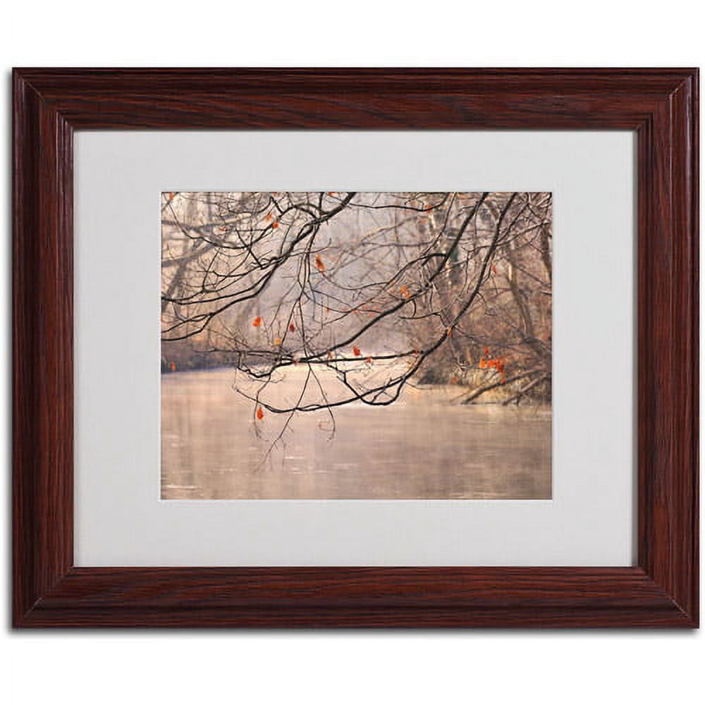 Trademark Fine Art "Skylight" Matted Framed Art by Philippe Sainte-Laudy