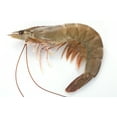 thumbnail image 5 of Ecuagold Frozen Raw Shrimp Head-on, 1.5 lb (14-23 Count per lb), 5 of 5