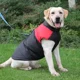 thumbnail image 4 of Abrigos Para Perros Con Bloques De Color, A Prueba De Viento, 4 of 8