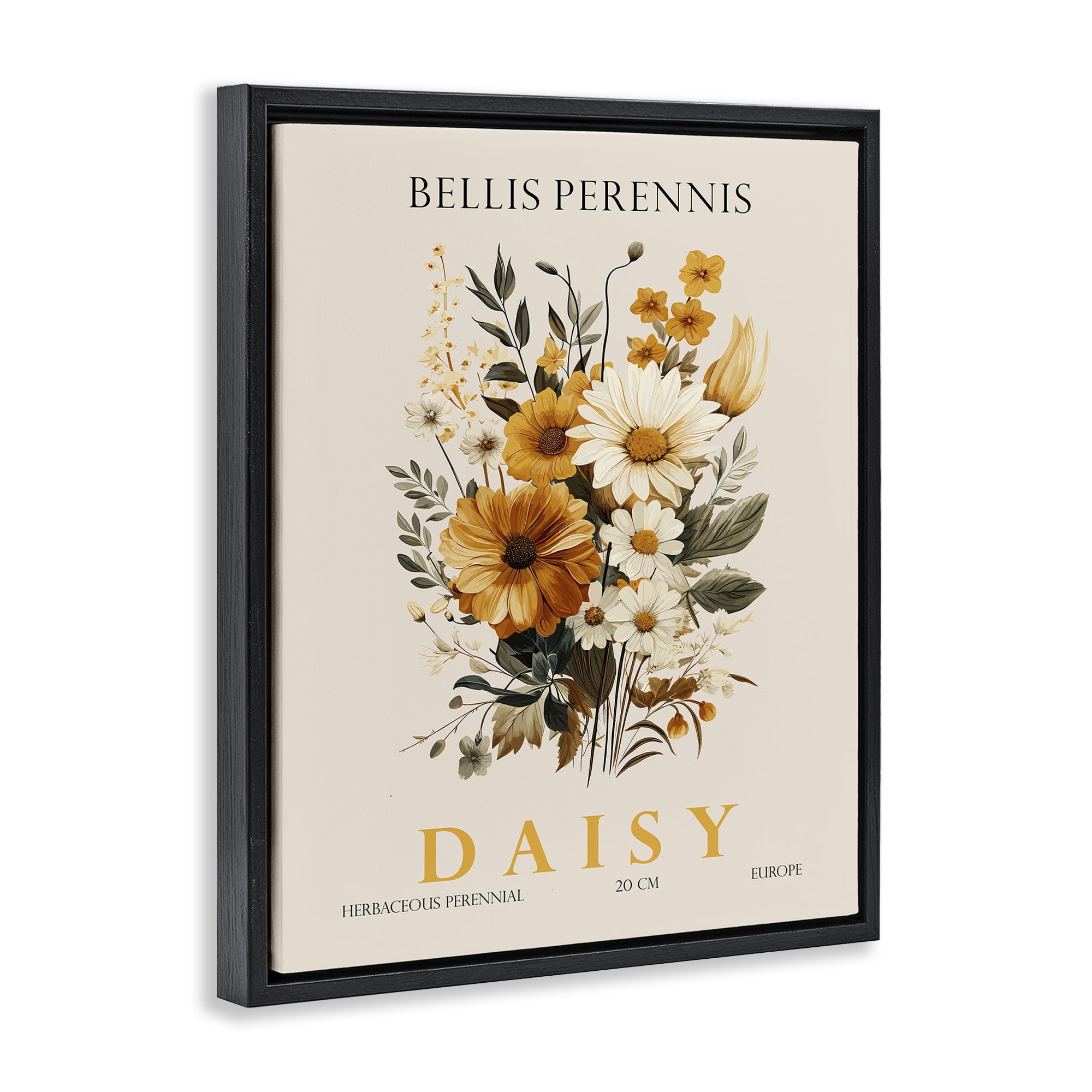 Stupell Industries Nature Daisy Bundle Black Framed Floater Canvas Wall Art, design by Christopher Giampietro