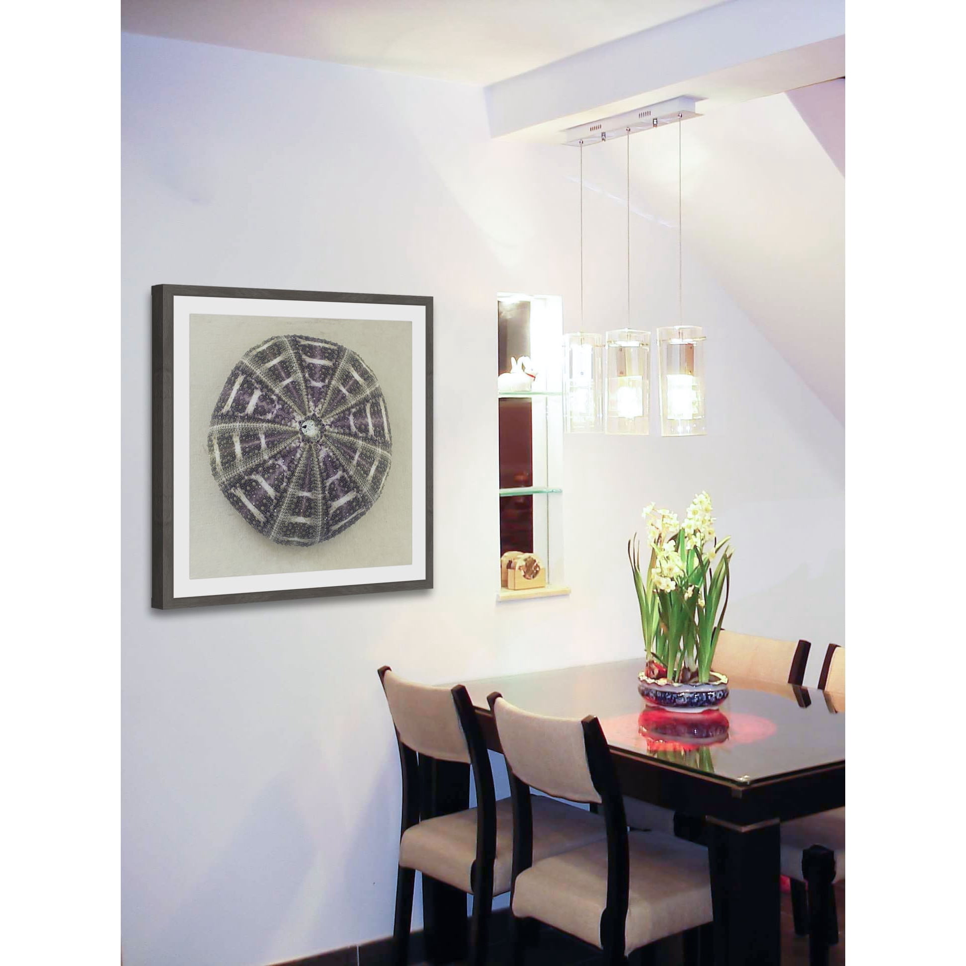 "Sea Urchin Shell" Framed Painting Print