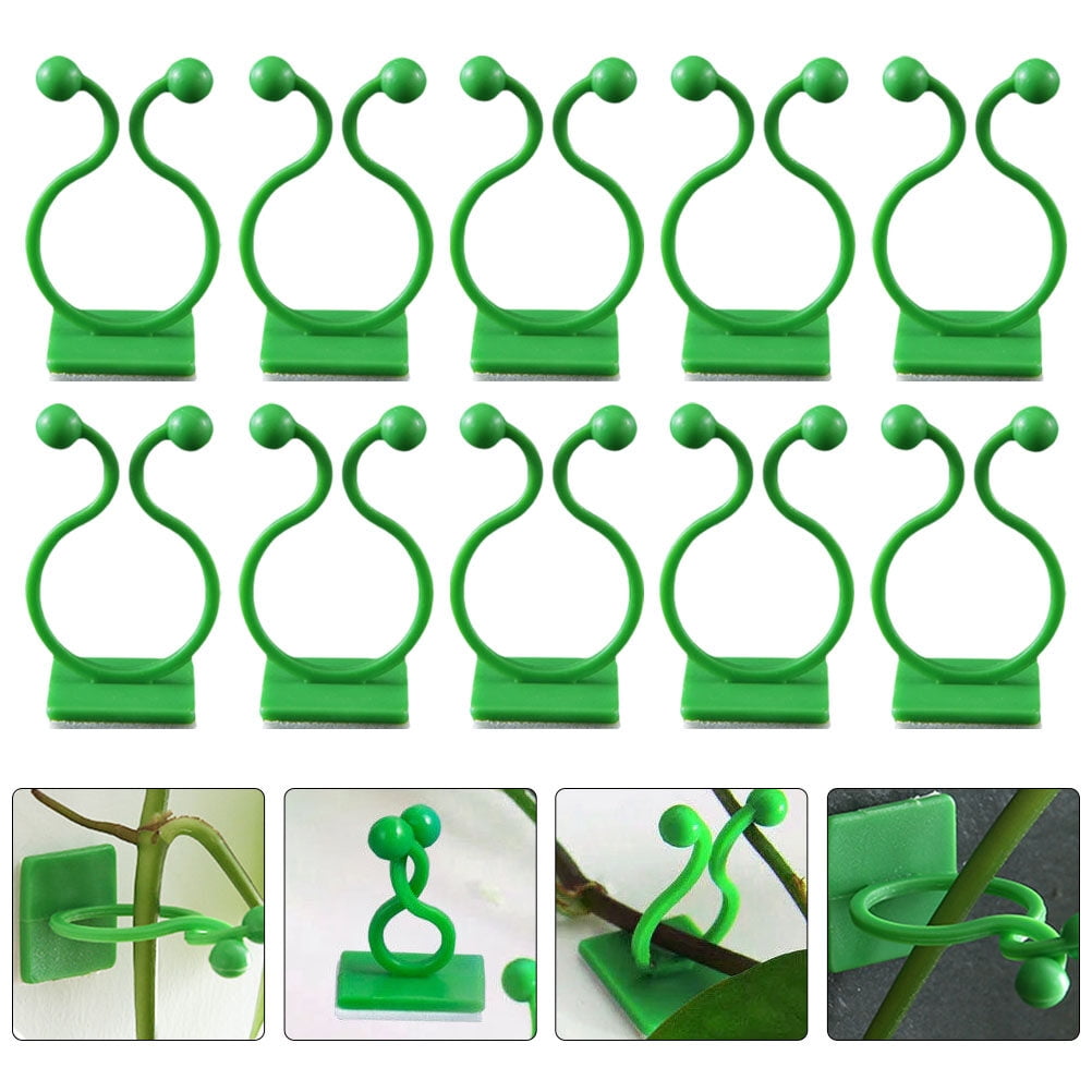 10pcs Plant Climbing Wall Fixture Clips Invisible Wall Vines Fixing