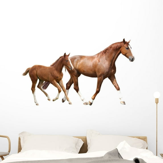 Chestnut Horse and Its Wall Decal by Wallmonkeys Peel and Stick Graphic (48 in W x 29 in H) WM41645