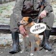 thumbnail image 4 of Protection contre le Bruit pour Chiens, Écouteurs Antibruit pour Chiens Protection Auditive, Feux d'Artifice, 4 of 4