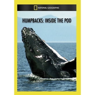 Great Migrations: Rhythm of Life (DVD), National Geographic