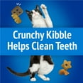 thumbnail image 5 of Purina Friskies Party Mix Beachside Crunch, Cat Treats, Shrimp, Crab, & Tuna, 20 oz Canister, 5 of 13