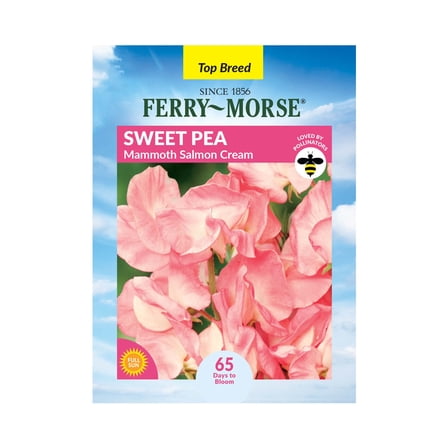 Ferry-Morse 1.4G Sweet Pea Mammoth Salmon Cream Annual Flower Seeds, Full Sun