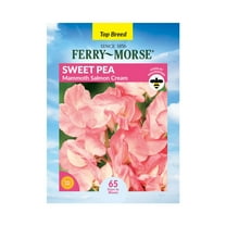 Ferry-Morse 1.4G Sweet Pea Mammoth Salmon Cream Annual Flower Seeds, Full Sun