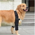 thumbnail image 1 of Soporte para perro para codo y hombro canino, protector de codo para perro, rodillera para perro, displasia, osteoartritis, callos de codo, llagas por presión (pequeño), 1 of 5