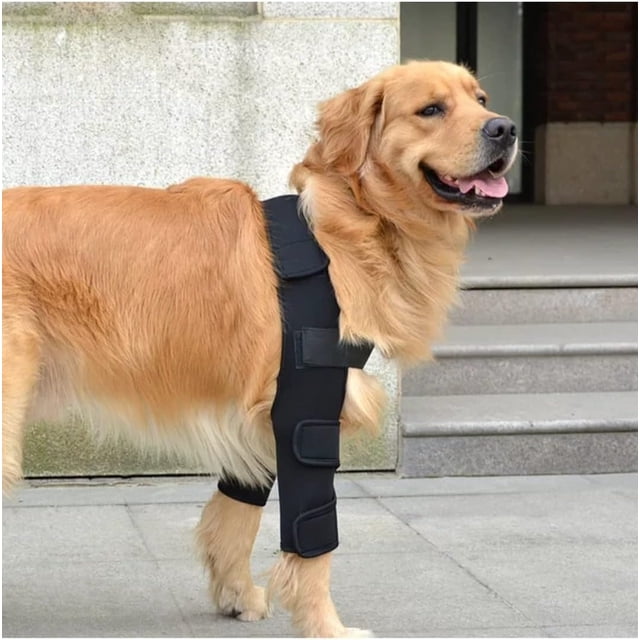 Soporte para perro para codo y hombro canino, protector de codo para perro, rodillera para perro, displasia, osteoartritis, callos de codo, llagas por presión (pequeño)