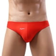 thumbnail image 2 of Lilgiuy Men's Swimwear Mesh Panel Bikini Swimming Briefs Sexy Low Rise Swimsuit, 2 of 5