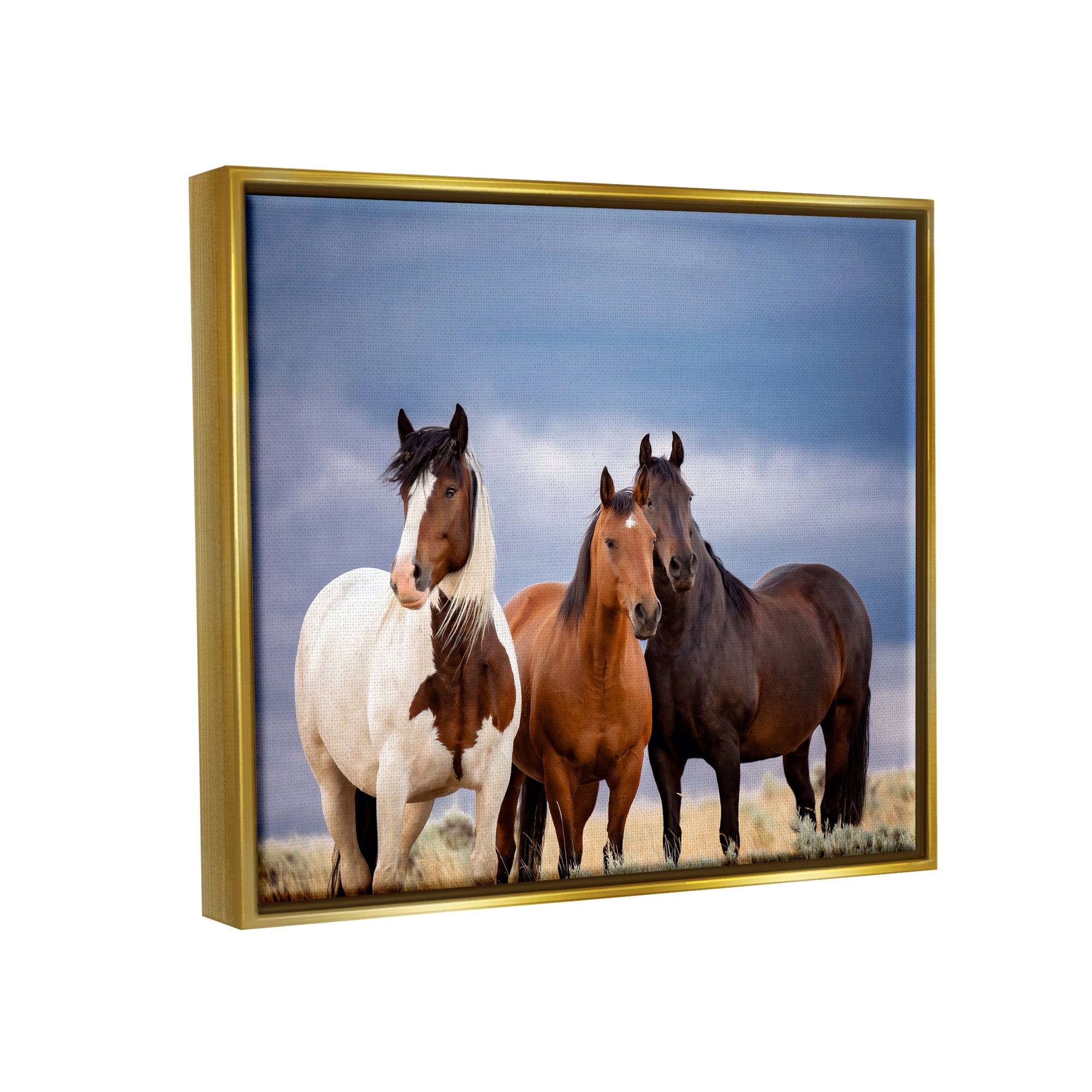 Stupell Industries Horse Trio Under Clouds Animals & Insects Photography Gold Floater Framed Canvas Art Print Wall Art, 21 x 17