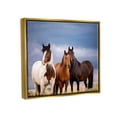 thumbnail image 4 of Stupell Industries Horse Trio Under Clouds Animals & Insects Photography Gold Floater Framed Canvas Art Print Wall Art, 21 x 17, 4 of 10