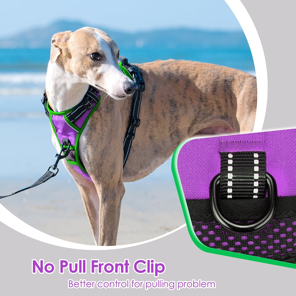 PHOEPET 2019 Upgraded No Pull Dog Harness, Reflective Adjustable Vest, with a Training Handle + 2 Metal Leash Hooks+ 3 Snap Buckles +4 Slide Buckles