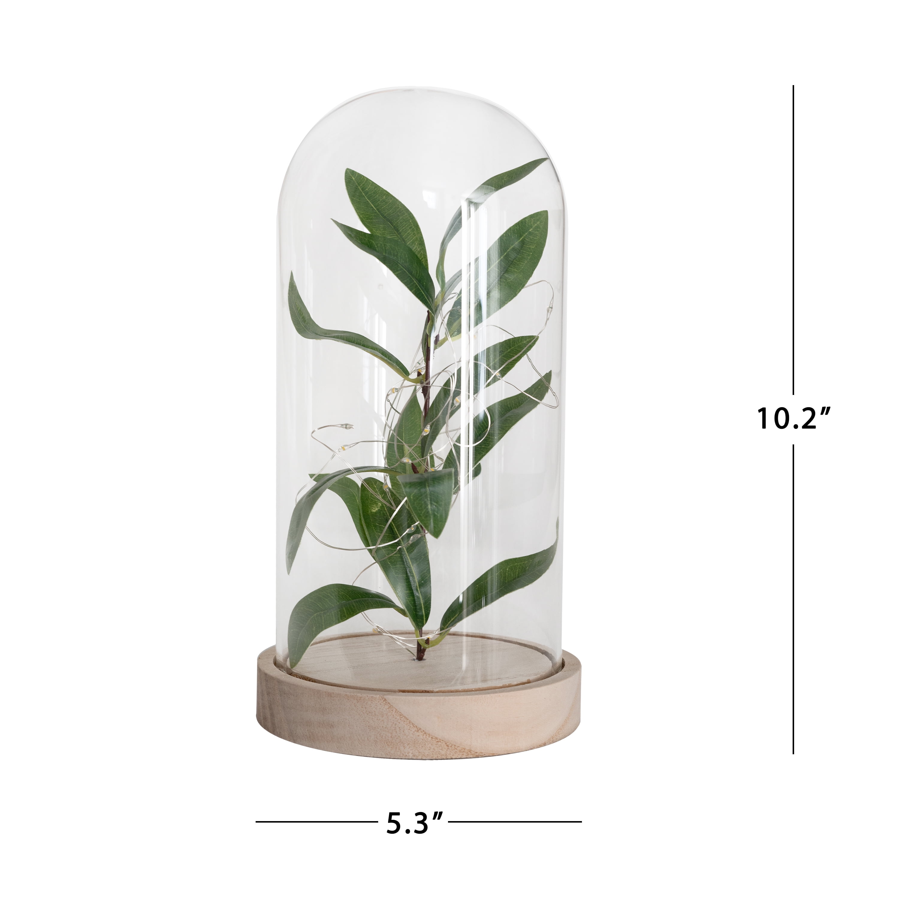 Mainstays 10" Indoor Tabletop LED Cloche with Faux Plant