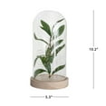 thumbnail image 4 of Mainstays 10" Indoor Tabletop LED Cloche with Faux Plant, 4 of 6