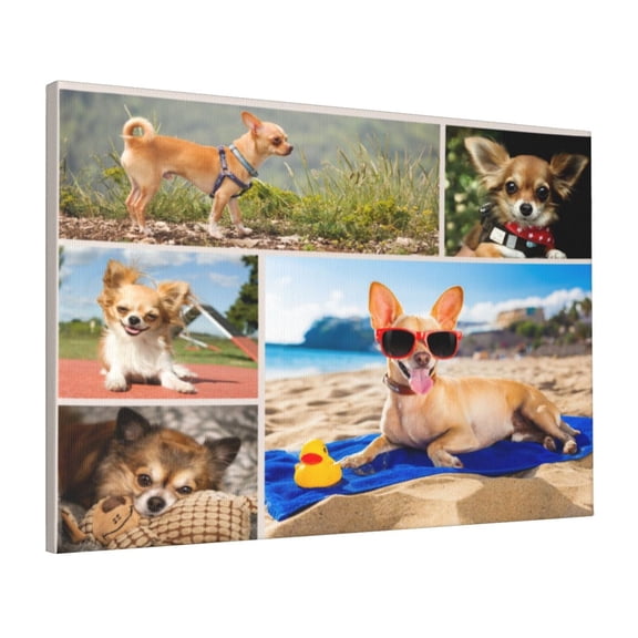 Custom Canvas Prints Colorful Cute Chihuahuas Personalized Photo Image Collage DIY Framed Kit Wall Art Picture Room Decor 16x20 inch