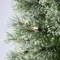 Holiday Time 7Ft Pre Lit Duncan Fir 03 - msnroyy