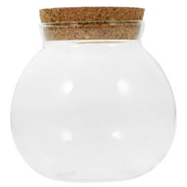 PBPBOX Transparent Glass Terrarium with Lid Oak Material for Office Decoration
