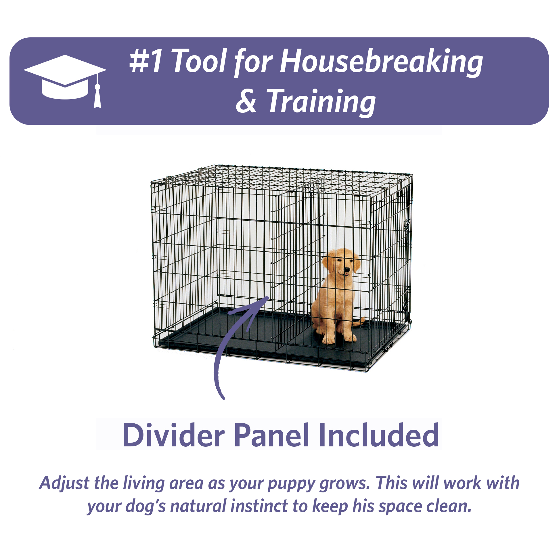 MidWest iCrate 48" Dog Crate, Single Door photo 7