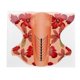 thumbnail image 3 of 500pcs Long Nail Gel Forms Self Adhesive Nail Art Extension Sticker for Women, 3 of 5