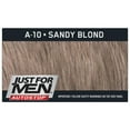 thumbnail image 6 of Just For Men Auto Stop Men's Hair Color, Sandy Blond, 6 of 8