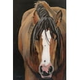 thumbnail image 2 of Suzi Redman 4x14 White Modern Wood Framed Wall Art Titled - Horse Portrait II, 2 of 5