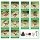 thumbnail image 5 of Dinosaur Toys Unanscre 2 en 1 con tapete de juego activo, 40 unidades, para mayores de 3 años, 5 of 9
