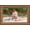 10.1 inch Brown Wood, variant on Frameo 10.1 inch Digital Picture Frame WiFi  Digital Photo Frame  IPS  1280 * 800 1080P Touch Screen -Rotate Easy Setup to use  Share Photos and Videos  for mon Father Women