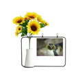 thumbnail image 1 of Sea Science Nature Antarctic Penguin Picture Artificial Sunflower Vases Bottle Blessing Card, 1 of 3