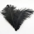 thumbnail image 2 of Clearance! Plertrvy Ostrich Feather 30-35cm Colorful Feather Decoration 96# Black, About 32 cmcolorful Feathers Wedding Decoration Flower Arrangement Stage Clothing Decoration, 2 of 7