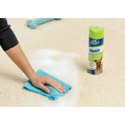 Woolite 22 OZ منظف السجاد المروري الثقيل Aerosol التنظيف العميق ، كل منها