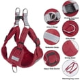 thumbnail image 2 of Dog Harness, Dog Harness Small Breed, Pet Harness with A Easy Control Leash, Easy Walk Pet Harness and No Choke Vest Harness for Medium or Small Breeds, 2 of 6