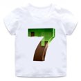 thumbnail image 3 of Camiseta con estampado de juego Mc para niños de 2 a 14 años, divertida camiseta de dibujos animados con números de cumpleaños, regalo para bebés, camisetas de algodón para niñas, 3 of 5