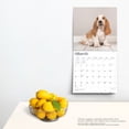 thumbnail image 5 of Basset Hounds 2025 12 X 24 Inch Monthly Square Wall Calendar Plastic-Free, (Paperback), 5 of 9