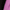 Black Soot/Smooth Lilac, variant on Athletic Works Girl's Active Core Shorts, 2-Pack, Sizes 4-18 & Plus