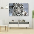 thumbnail image 4 of TISHIRON 3PCS Framed Canvas Wall Art Set,60"x40" White Bengal Tiger Canvas Art Decor, 4 of 6