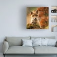 thumbnail image 3 of Robert Adamec 'Fox' Canvas Art, 3 of 3