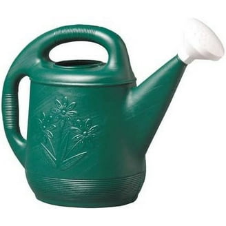 DRAMM Innaffiatoio In Plastica Stampata 2 Litri | Design Bilanciato Antigoccia | Ideale Per Piante Da Interno/Esterno | Colore Verde Classico